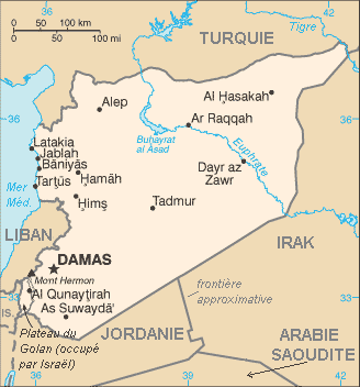 Dix ans de guerre syrie