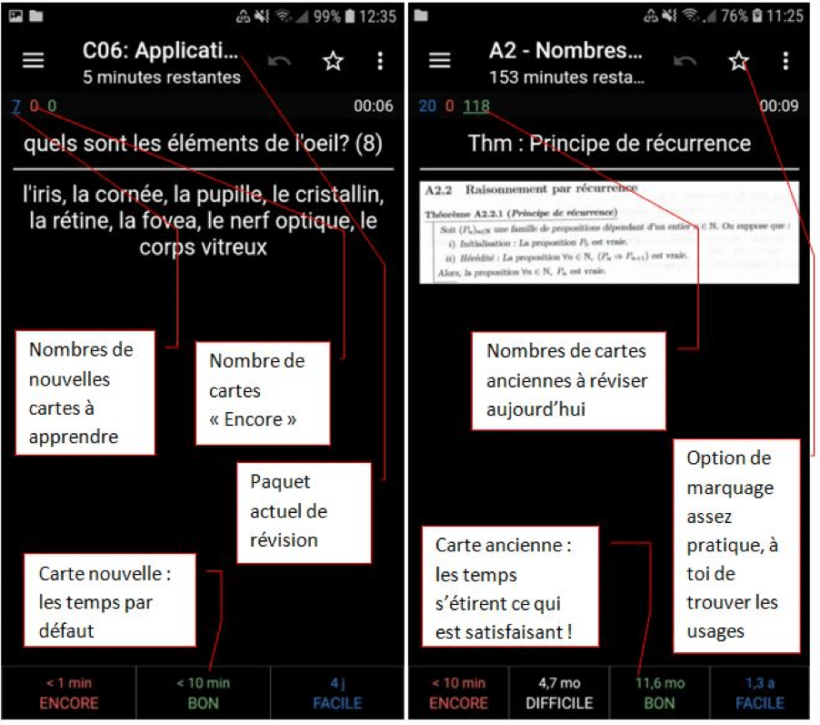 Révision des cartes sous Anki