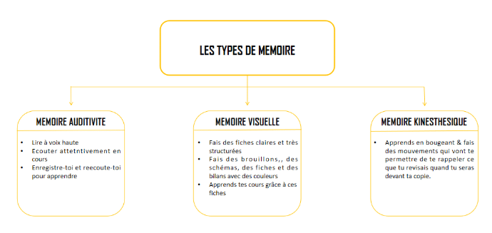 3 types de mémoire : auditive, visuelle, kinesthésique