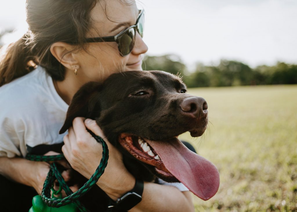 Adopter un animal fait deux heureux !