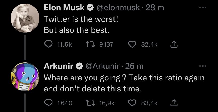 Elon Musk ratio par Arkunir