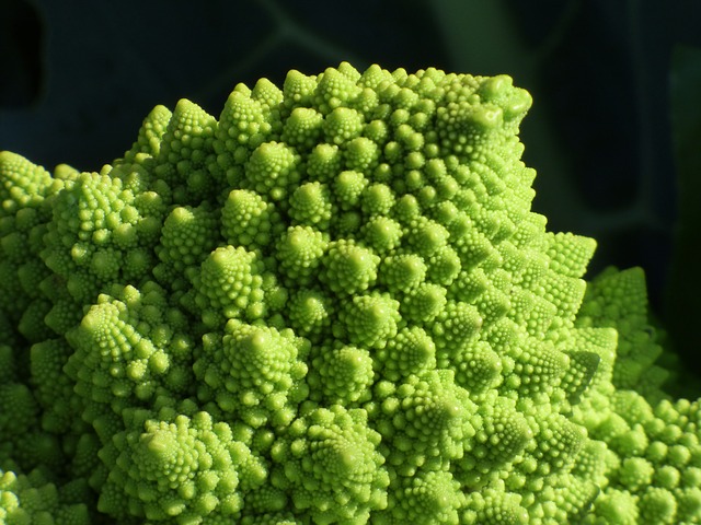 Les maths dans la vie d'un brocoli.