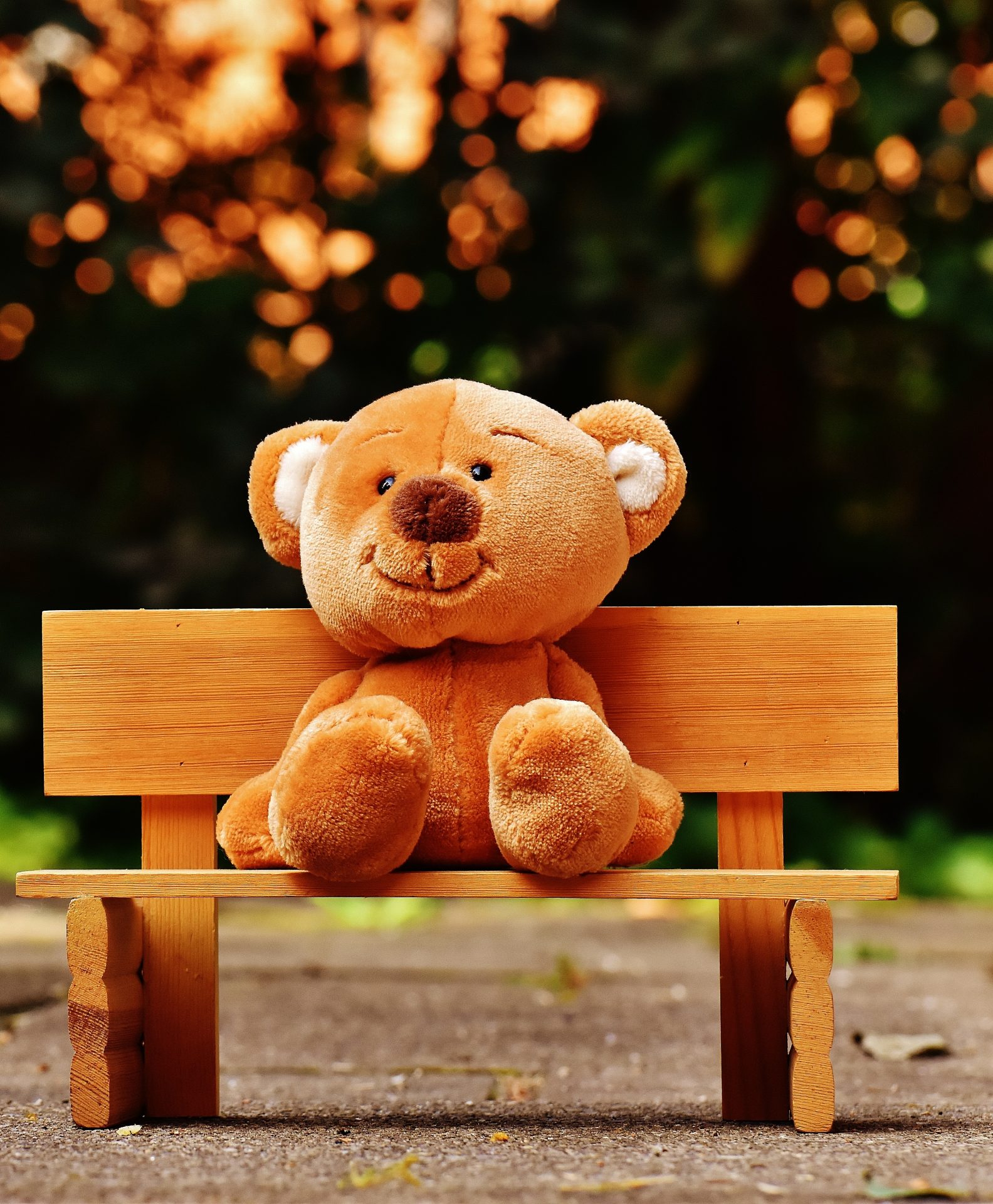 Un teddy bear plus souriant