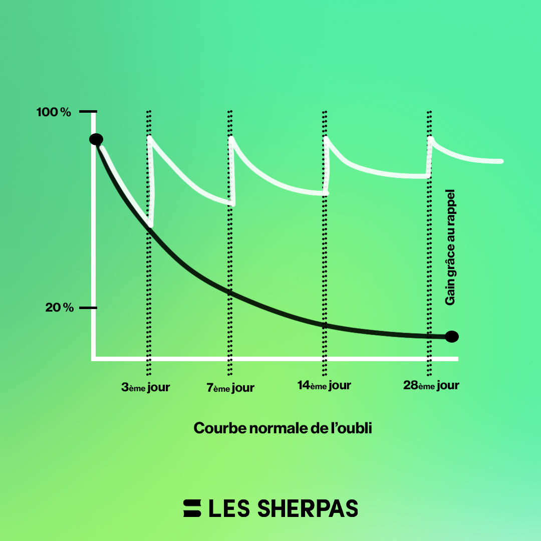 courbe normale de l'oubli et gain de mémoire avec le rappel