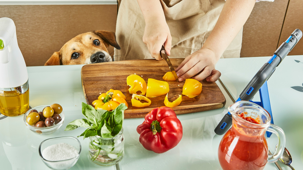 Recettes étudiantes : comment cuisiner équilibré et pas cher ? ‍