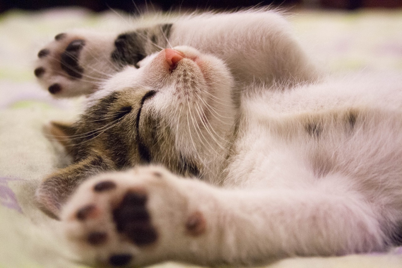 Top 10 des gadgets indispensables pour mieux dormir 