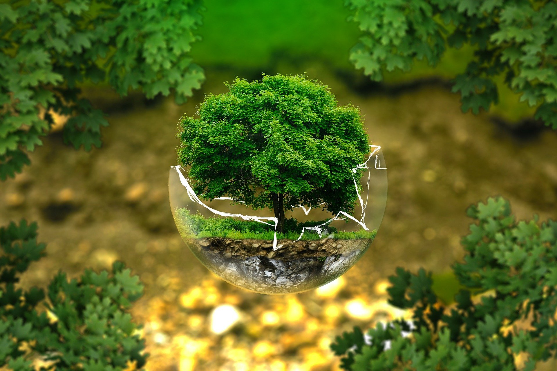 Écologie