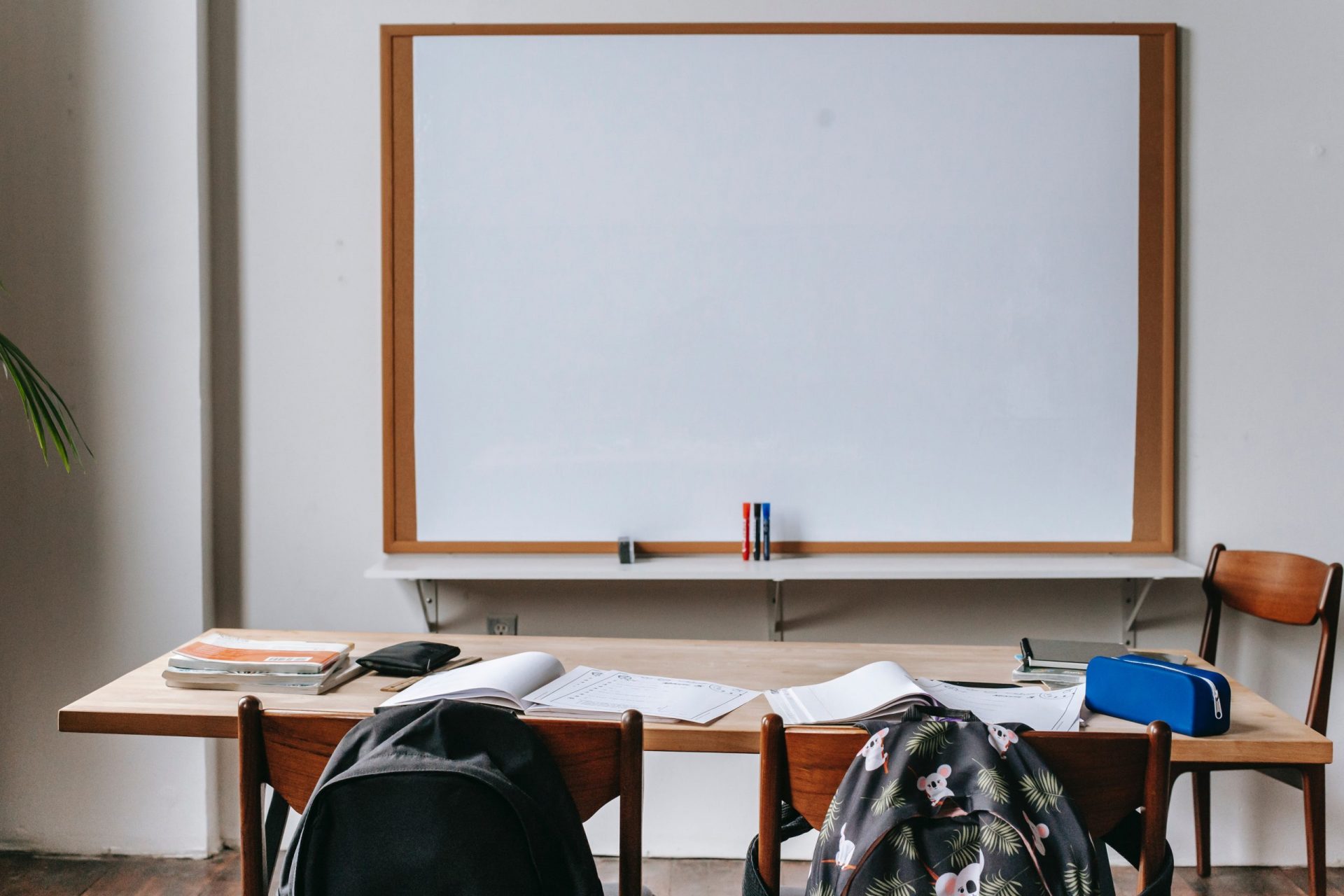 Programmes au collège