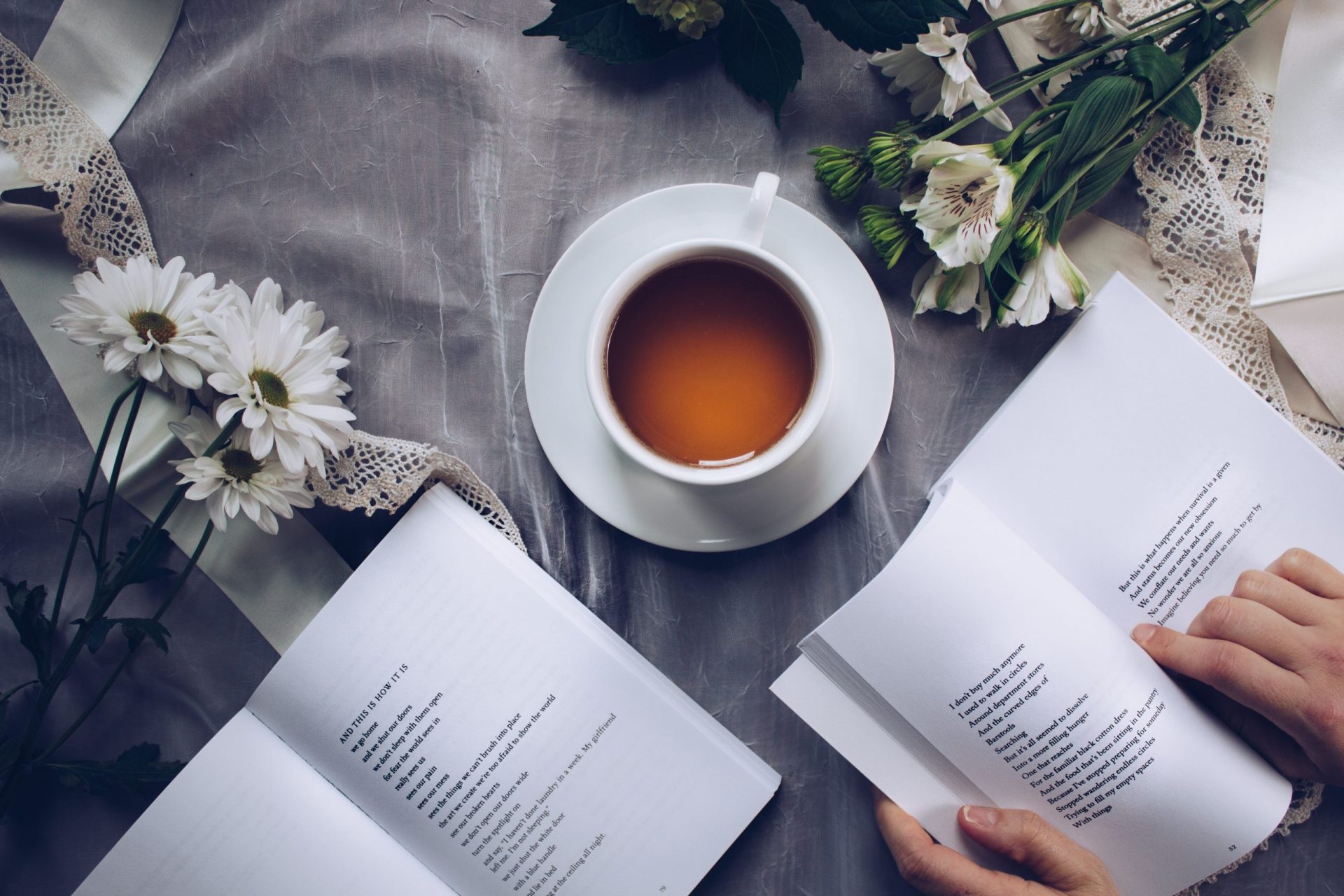 Top 5 des Bookstagram à suivre 