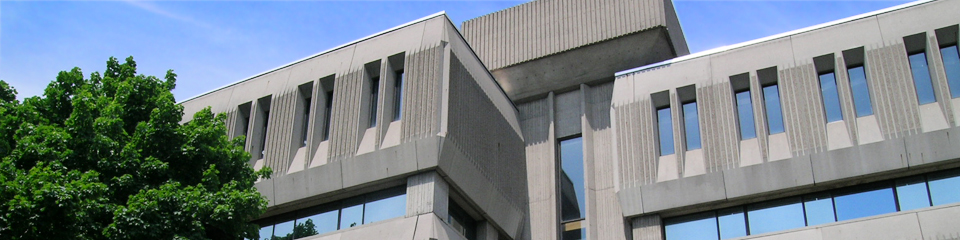HEC Montréal