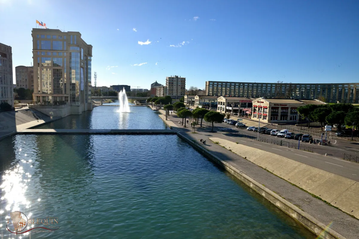 4-LARLEQUINMONTPELLIER-OTM-TSF-5