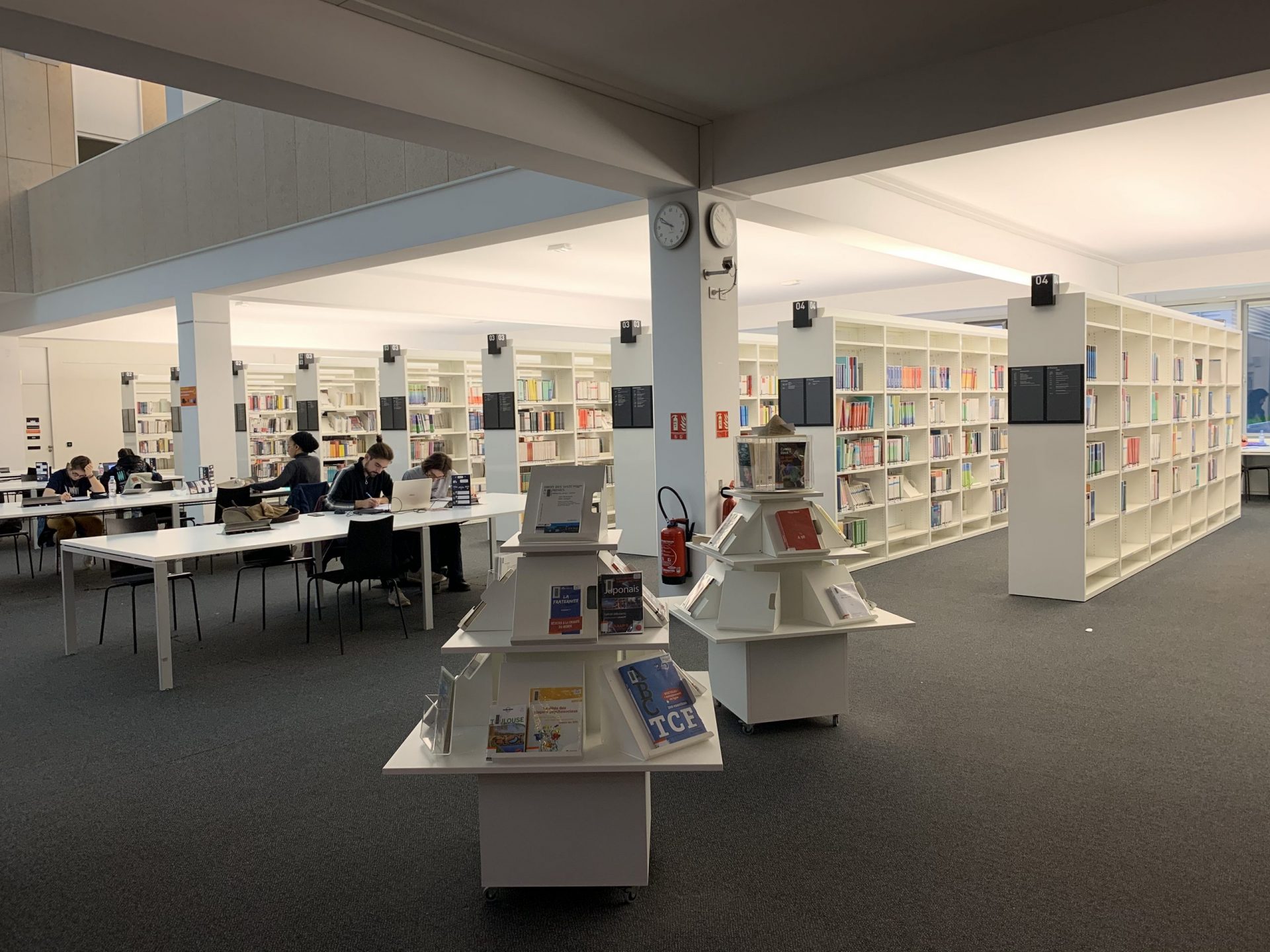 Bibliothèque_Marie_Curie_(INSA_Lyon),_rayonnage_(1)