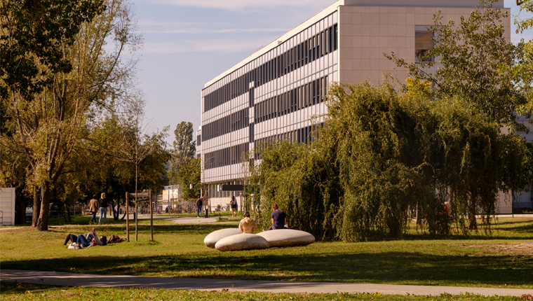 INSA Lyon
