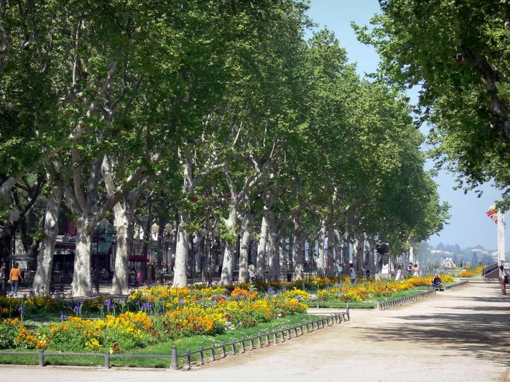 montpellier-11830_w1000