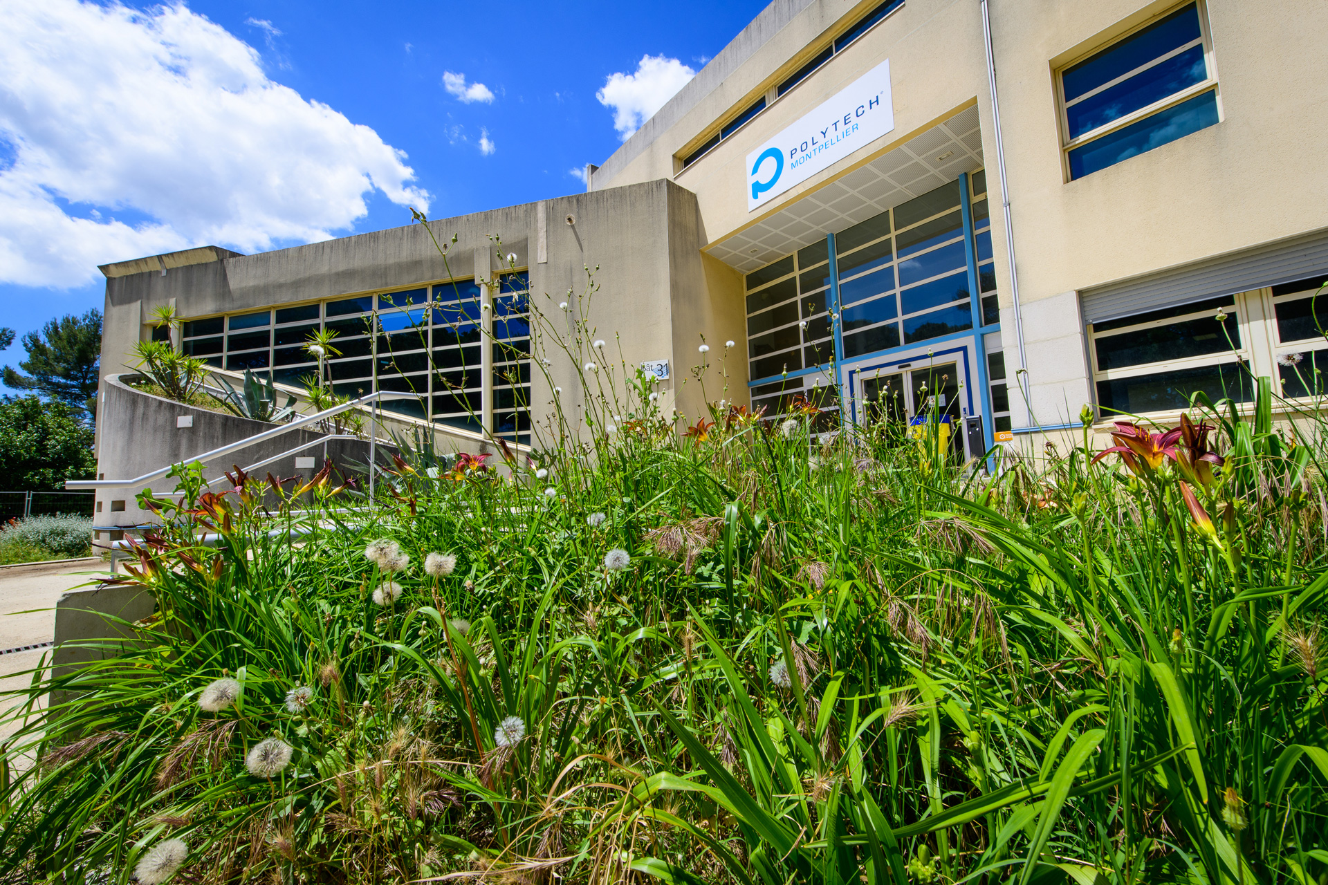 polytech montpellier