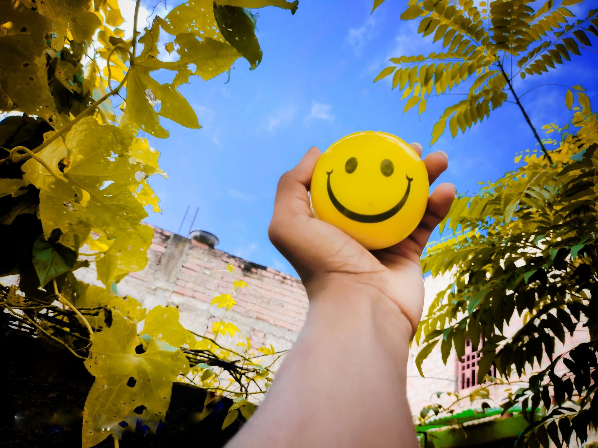 Comment rester positif pendant ses études ? 