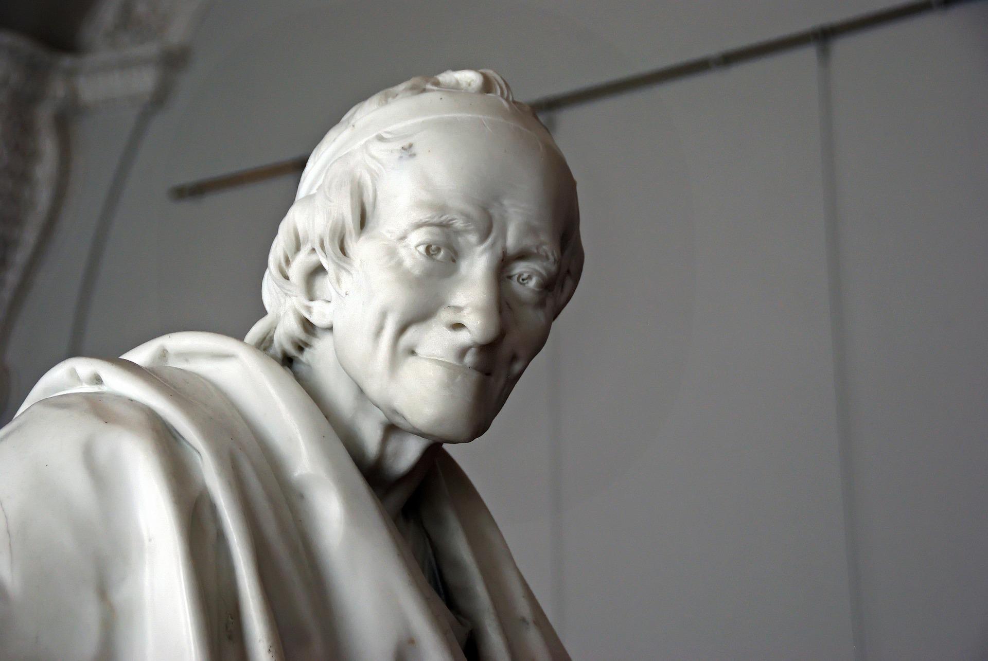qu'est ce que le projet voltaire