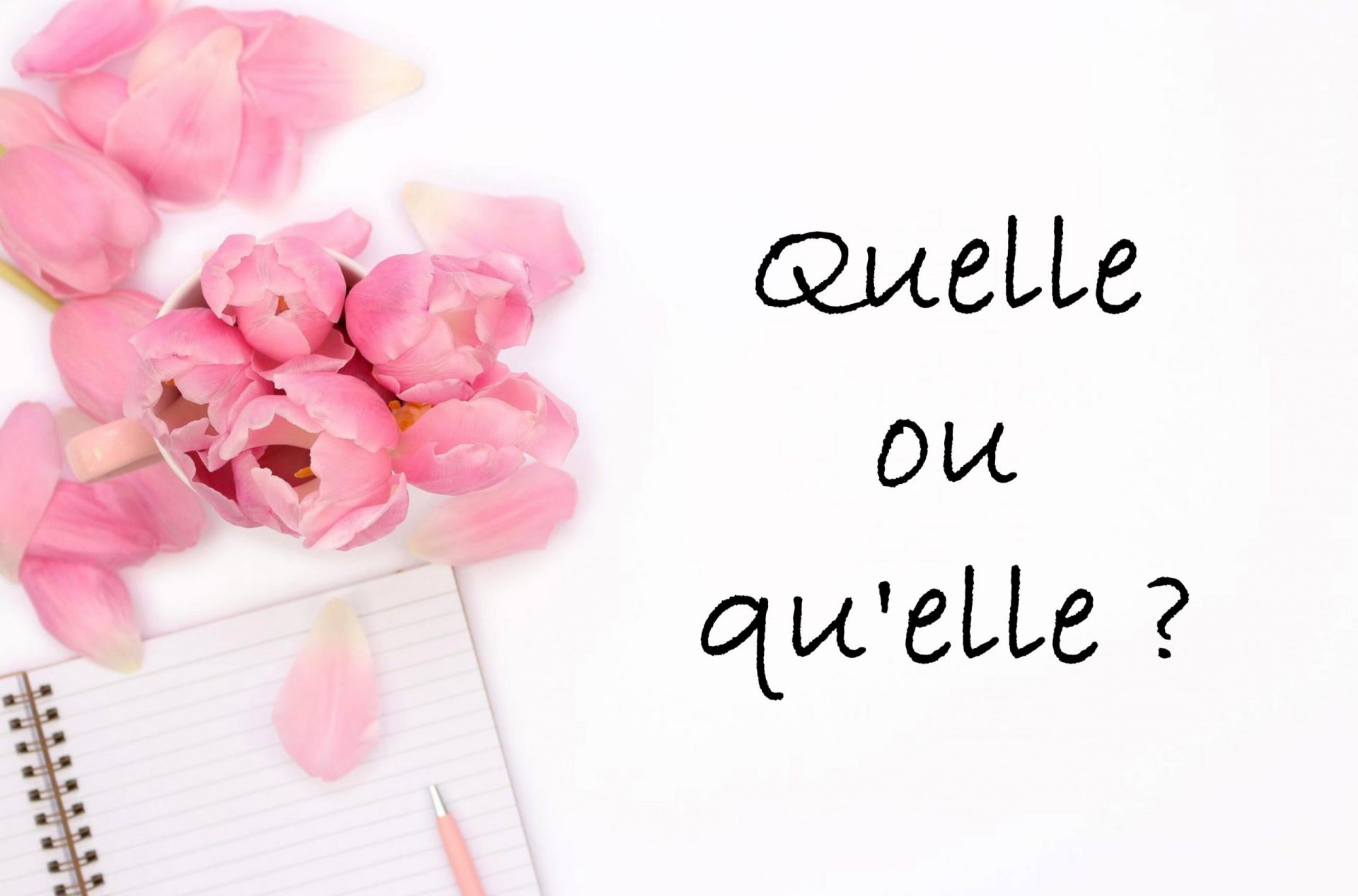 Quelle ou qu’elle : comment choisir ? ​