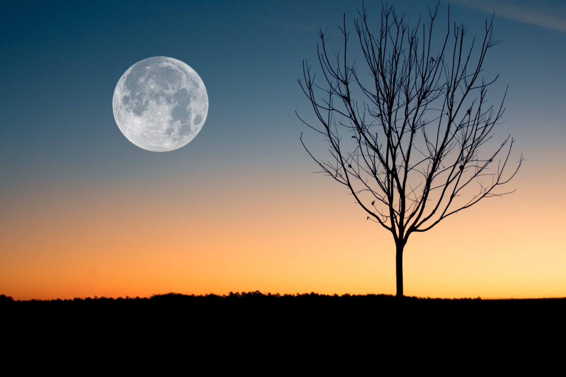 la lune blanche verlaine