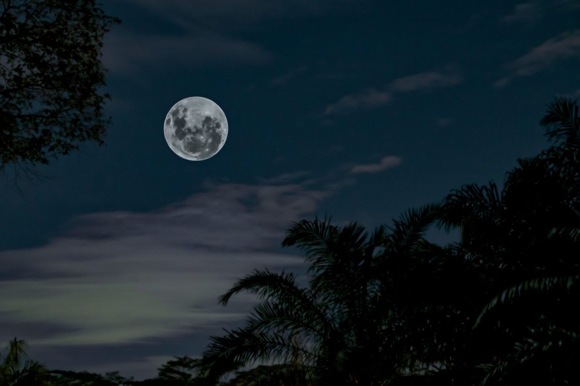 Clair de lune de Verlaine : Analyse et résumé 