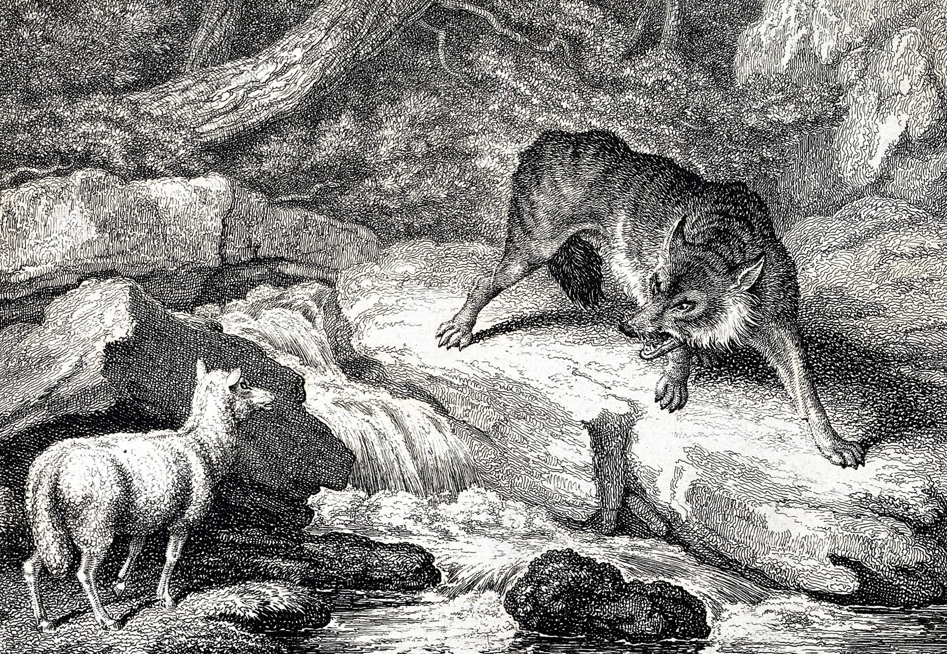 Le Loup et l'Agneau