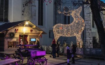 Les plus beaux marchés de noël - Annecy