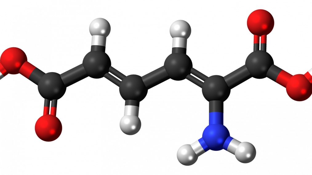 métabolisme