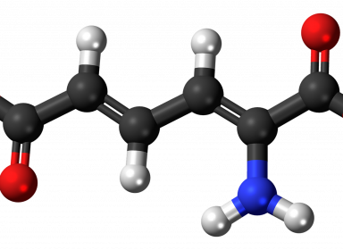 Comprendre le métabolisme 