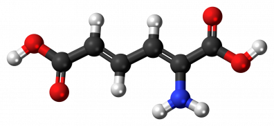 Comprendre le métabolisme 