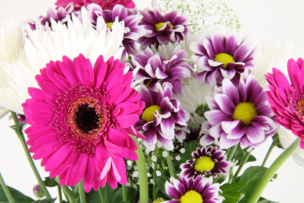 fleuriste bouquet