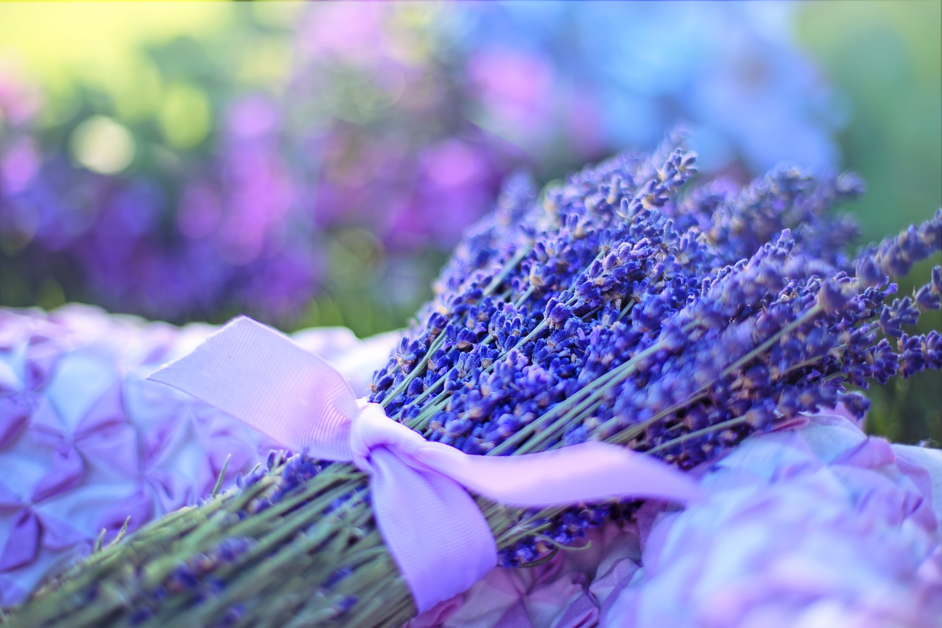 fleuriste fleurs bleues