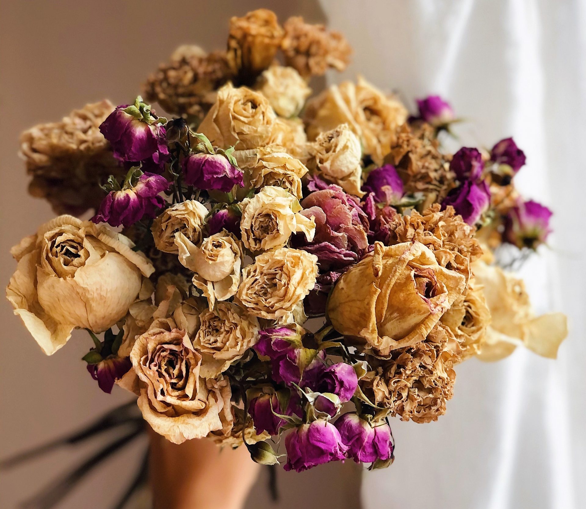 fleuriste fleurs séchées