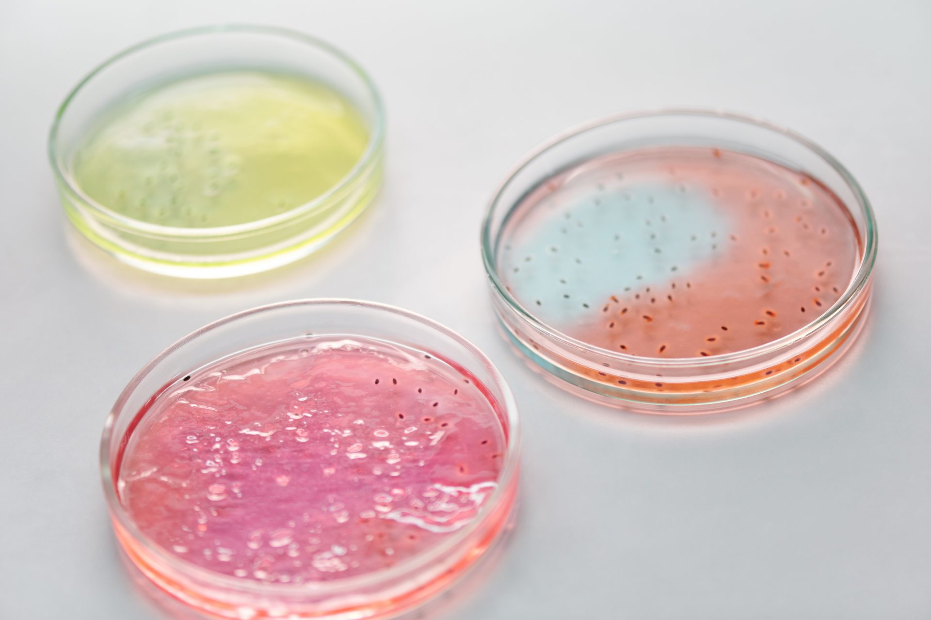 louis pasteur