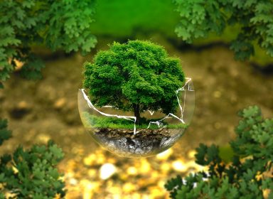 Militants écologistes : 6 jeunes qui se battent pour l’écologie 
