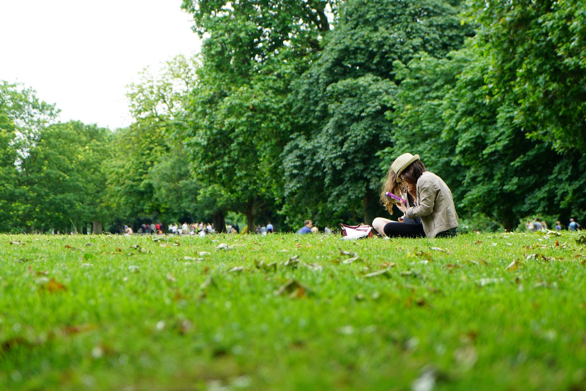 apprendre en plein air 1