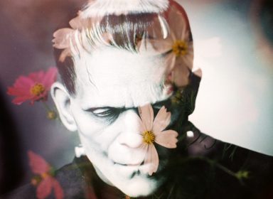Frankenstein, de Mary Shelley : entre création et destruction 