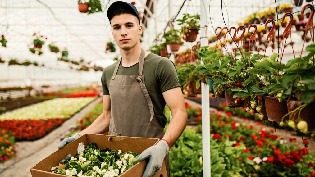 horticulteur