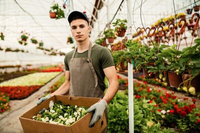 L’horticulteur : le pro des plantes 