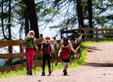 Summer Camp : quelle colonie de vacances choisir en tant qu’étudiant ? 