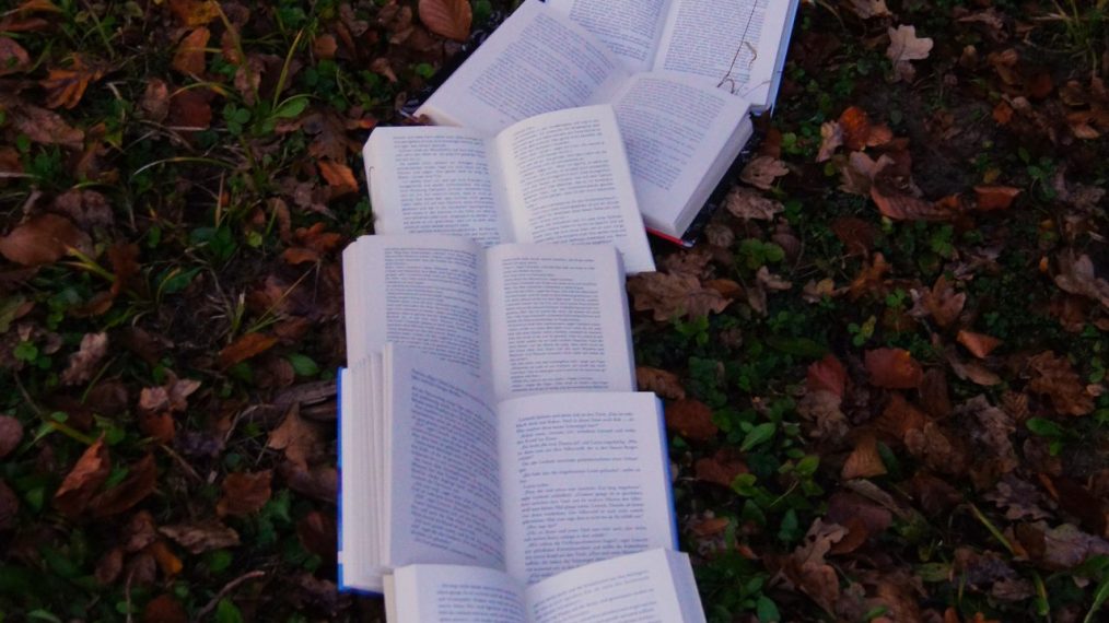 tautologie