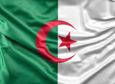 Les harkis : entre histoire et mémoire 