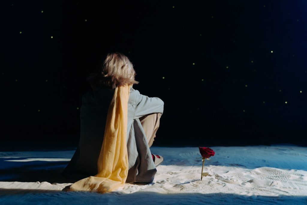 Le Petit Prince regarde l'horizon.