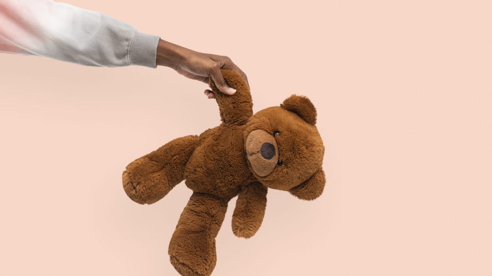 la véritable histoire du teddy bear
