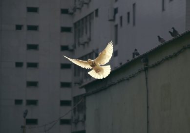 9 personnes non violentes sur lesquelles prendre exemple 