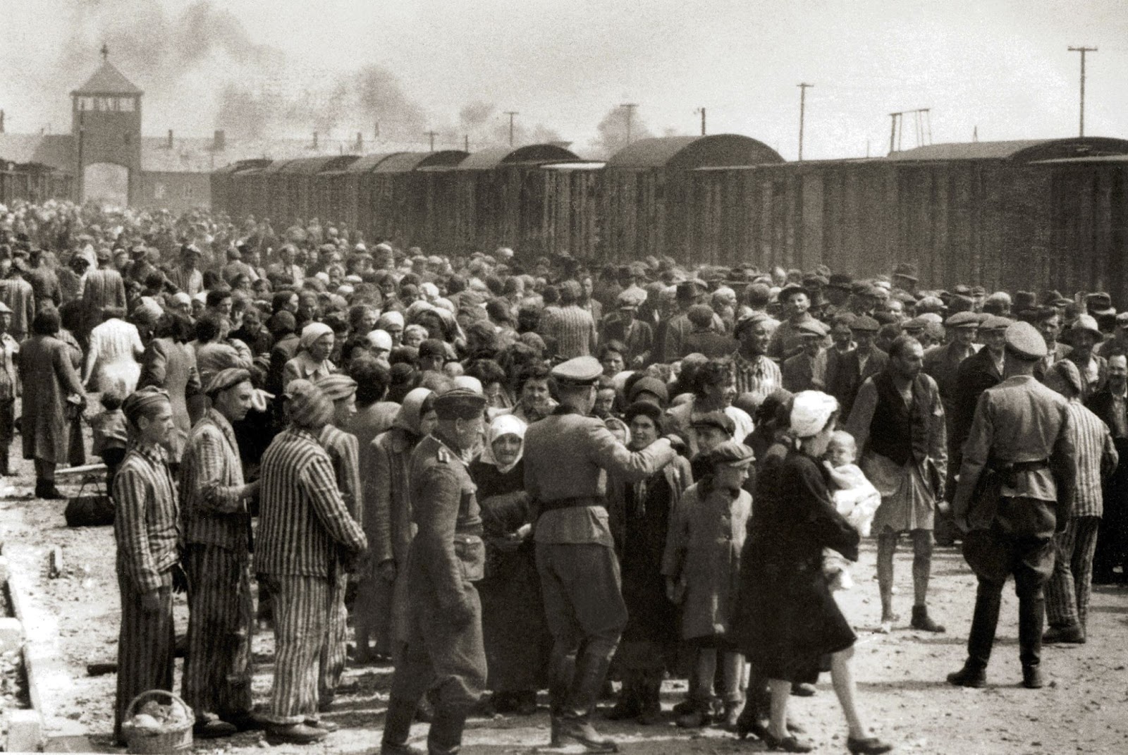 La Shoah, l'un des génocides les plus meurtriers de l'histoire
