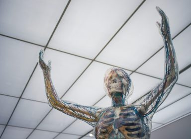 Anatomie et parties du corps humain en anglais [Vocabulaire] 