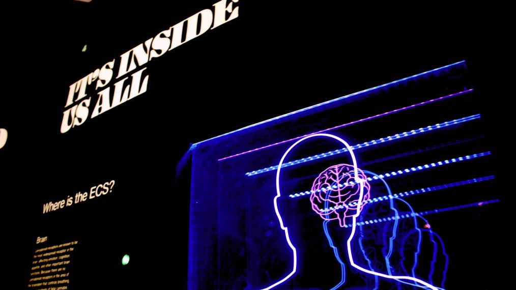 études de psychologie