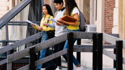 Brevet des collèges 2025 : dates et déroulé des épreuves ​​