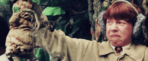 Ron Weasley grimace à cÎté d'une plante Mandragore.