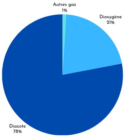Un camembert illustre la répartition des gaz dans la composition de l'air.